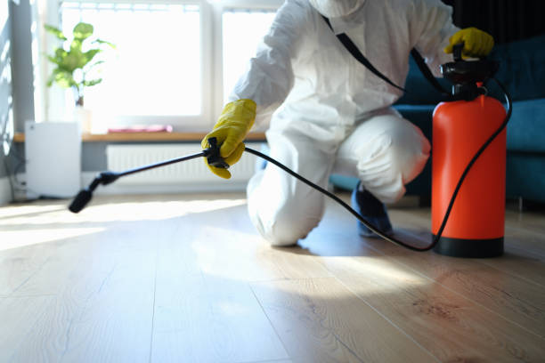 Reliable Biohazard Cleanup contractor in East Northport, NY by Trauma Clean Pros